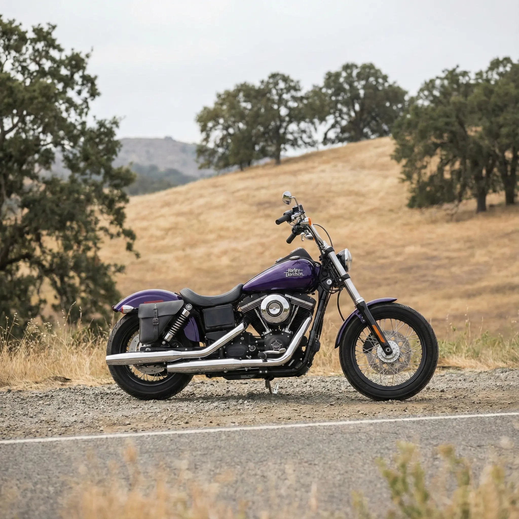 Harley Dyna Solo Bag - Right Side Compact (Model DR03)